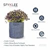 Plant Grow Bag -Grey(8X8 Inches)