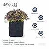 Felt Plant Grow Bag - Dark Grey(8X8 Inches)