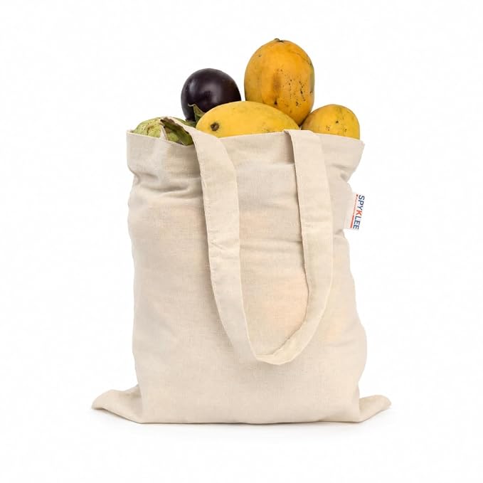 Plain Canvas Tote Bag (12x14)