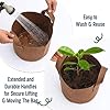 Felt Plant Grow Bag-Beige(10X10 Inches)