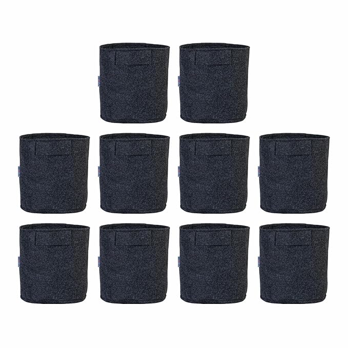 Felt Plant Grow Bag - Dark Grey(10X10 Inches)
